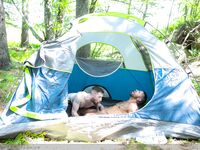 2020-09-10 Pitching A Tent - Masqulin - Bareback
