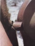 ASSHOLE BUDDIES SPECIAL  Gays Photos