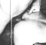 ASSHOLE BUDDIES  Gays Photos