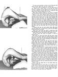 AUTO-FELLATIO AND MASTURBATION 1969  Gays Photos