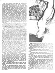 AUTO-FELLATIO AND MASTURBATION 1969  Gays Photos