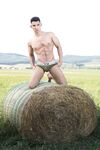 Antonio Valentini Country - DiamondPicturesMen - Oral