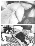 AWOL  Gays Photos