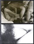 AWOL  Gays Photos