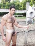 David Moretti Tempt5 - DiamondPicturesMen - Muscle