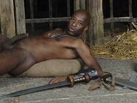 Dick James Sp - DiamondPicturesMen - Hairy