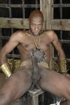 Dick James Sp - DiamondPicturesMen - Hairy