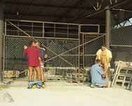 Luciano Endino Bikersbang2Sex - DiamondPicturesMen - Oral