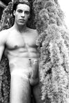 Lucio Maverick Bandw - DiamondPicturesMen - Hairy