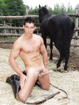 Rick Perry Tempt6 - DiamondPicturesMen - Anal