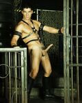 Rick Perry Ub3 - DiamondPicturesMen - Muscle