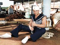 Sean Lawrence Sailor - DiamondPicturesMen - Cumshots