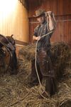 Tyler Gregory Western - DiamondPicturesMen - Masturbation