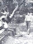 B AND W 1978 Photos
