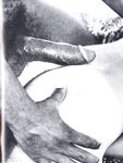B AND W 1978 Photos