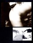 B AND W 1978 Photos