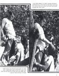 BACKYARD BOY Photos