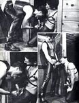 BALLS 1981 Photos