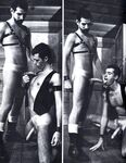 BALLS 1981 Photos