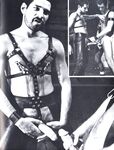 BALLS 1981 Photos