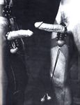 BALLS 1981 Photos