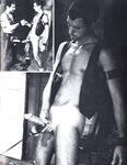BALLS 1981 Photos