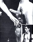 BALLS 1981 Photos