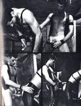 BALLS 1981 Photos