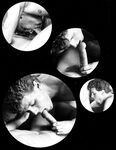 BANG THOSE BUNS Photos
