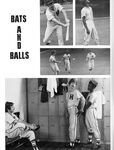 BATS AND BALLS Photos