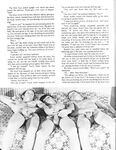 BEGINNERS Vol 1 Nr 1 Photos