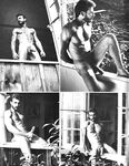 BEST OF AL PARKER Photos