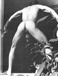 BEST OF AL PARKER Photos