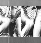 BEST OF AL PARKER Photos