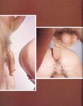 BEST OF AL PARKER Photos