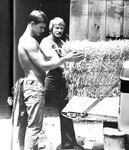 BEST OF BRENTWOOD Nr 1 1977 Photos