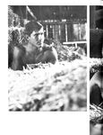 BEST OF BRENTWOOD Nr 1 1977 Photos