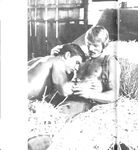BEST OF BRENTWOOD Nr 1 1977 Photos