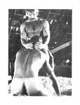 BEST OF BRENTWOOD Nr 1 1977 Photos