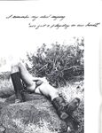 BEST OF DART, THE Nr 1 1978 Photos