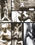 BEST OF DART, THE Nr 1 1978 Photos