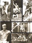 BEST OF DART, THE Nr 1 1978 Photos