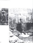 BEST OF DART, THE Nr 1 1978 Photos