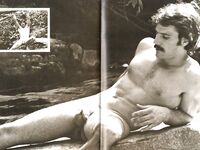 BEST OF DART, THE Nr 1 1978 Photos