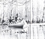 BEST OF DART, THE Nr 1 1978 Photos