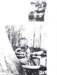 BEST OF DART, THE Nr 1 1978 Photos