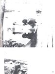 BEST OF DART, THE Nr 1 1978 Photos