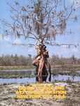 BEST OF DART, THE Nr 1 1978 Photos