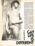 BEST OF GAY TIMES Vol 1 Nr 1 1976 Photos