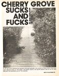 BEST OF GAY TIMES Vol 1 Nr 1 1976 Photos